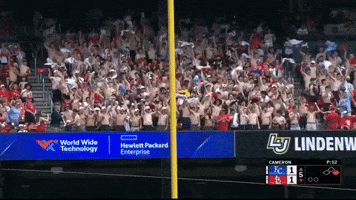 Sport Baseball GIF by MLB