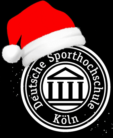 Winter Sterne GIF by Deutsche Sporthochschule Köln | German Sport University Cologne