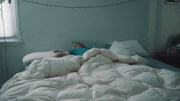 Duvet Cat Song GIF by Anthony Green