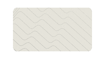 Fsa Sticker by Full Speed Ahead