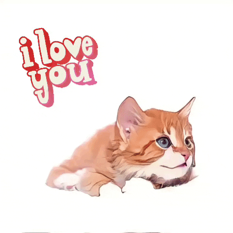 Adore I Love You GIF by The3Flamingos