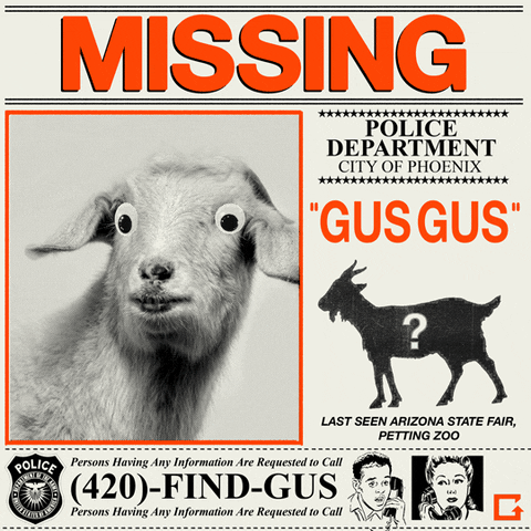gus gus where the fuck is he? GIF by gifnews