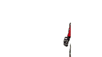 Sport Goal Sticker by HDD SIJ Acroni Jesenice