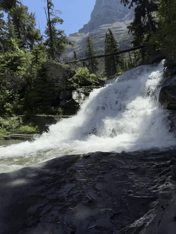 Waterfall Creek GIF