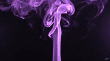 Purple GIF