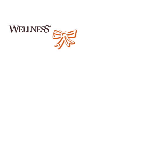 WellnessCORE_eu Sticker