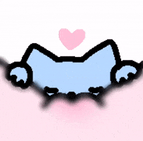 Cat Kitty GIF