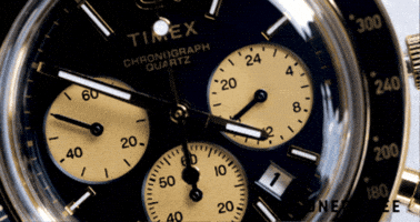Timex GIF