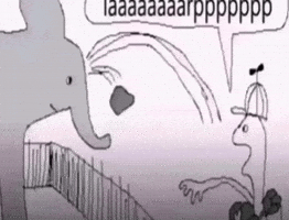 Elephant Rock Throw GIF