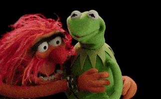Muppets gif. Standing side by side, Animal and Kermit the Frog share a hug.