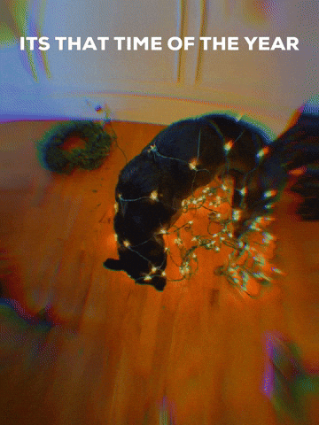 Christmas GIF