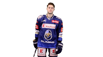 Hockey Hokej Sticker by Rytíři Kladno