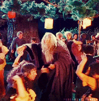 The Lord Of The Rings Dancing GIF
