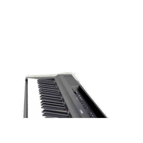 Piano Focus - Online Piano Lessons for Adults Sticker