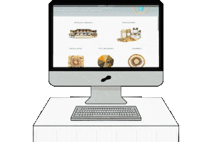 Shopping Comprar Sticker by SECOFRUT