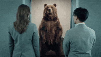 Bear GIF by PICTON Investments