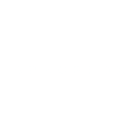 Spacefox Sticker