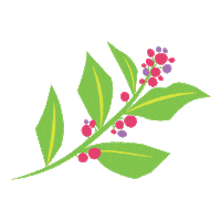 Omaq flower star flowers moon Sticker