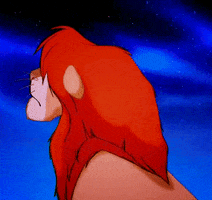 the lion king disney GIF