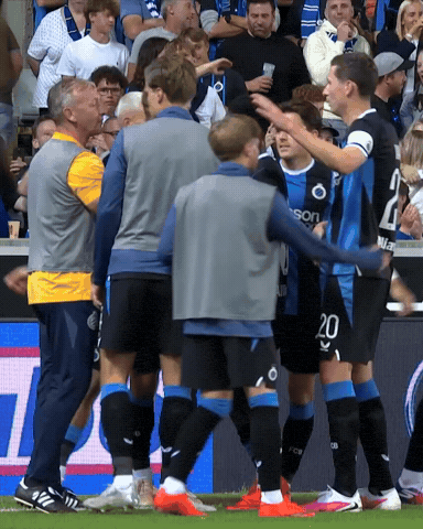 Blauw-Zwart GIF by Club Brugge