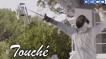Duel Fencing GIF by GEICO