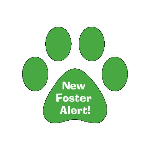 Ldar Sticker by Lucky Dog Animal Rescue