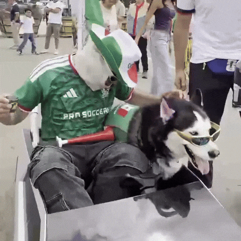 Viva Mexico Soccer GIF by SWAGGY WOLFDOG