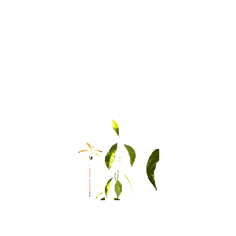 Sticker by Phoenix Connection