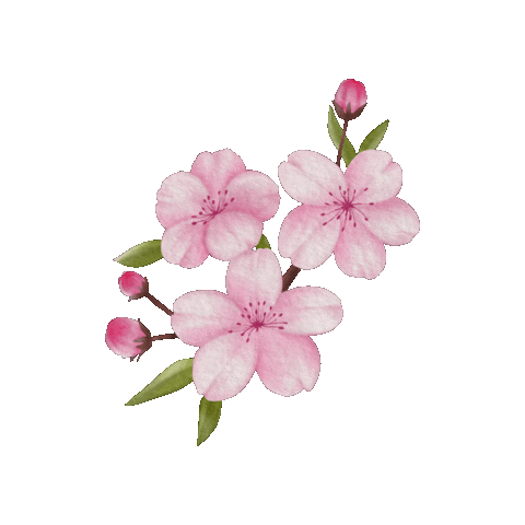 Cherry Blossoms Flower Sticker