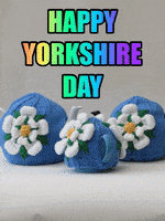 Tea Party Yorkshire GIF by TeaCosyFolk