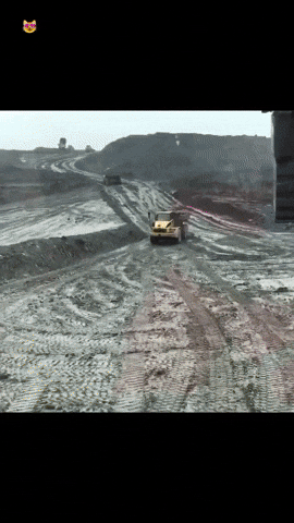 Cats GIF