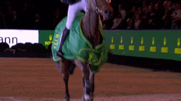 RolexGrandSlam horse horses netherlands equestrian GIF