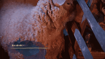 Sheep Ageofempires GIF by Age Of Empires Community