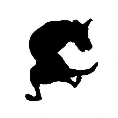 Diego Feijóo Studio GIF