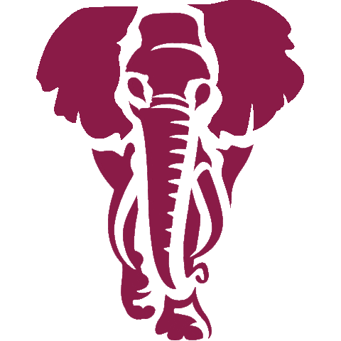 Amarula Sticker