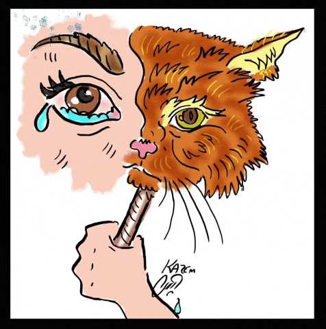 Cat Cartoon GIF