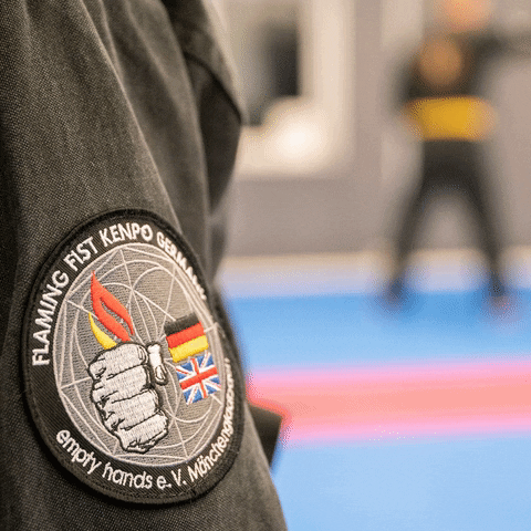 Sport Health GIF by Flaming Fist Kenpo Germany - empty hands e.V.