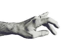 Piano Practicing Sticker by premiertone