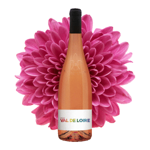 Loire Valley Wines Sticker