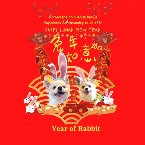 Happy Chinese New Year GIF by Romeo Mama Bandana Store