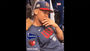 Team Usa Baseball GIF