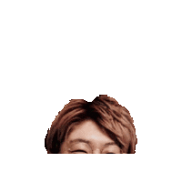 Hokky Sticker
