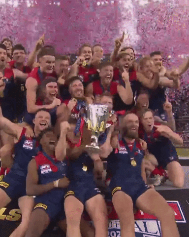 Melbourne Football Club Win GIF by Melbournefc