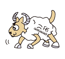 F45 Gongdeok Sticker