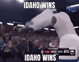 Idaho Vandals GIF
