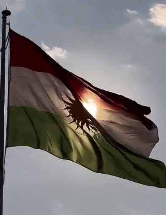 Flag GIF