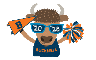 Sunglasses Ray Sticker by Bucknell University