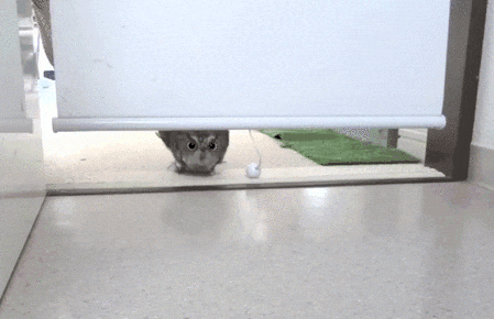 too late GIF