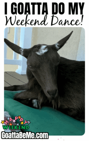 Its Saturday Cute Animals GIF by Goatta Be Me Goats! Adventures of Pumpkin, Cookie and Java!