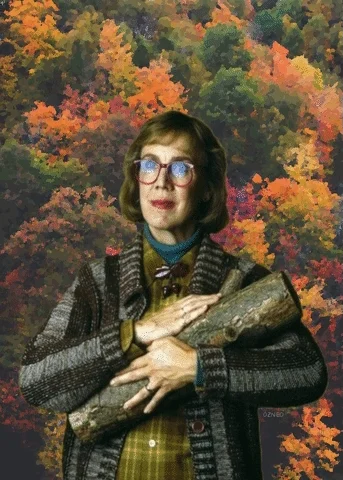 twin peaks forest GIF